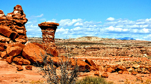 NWF Blasts Move to Shrink Monuments