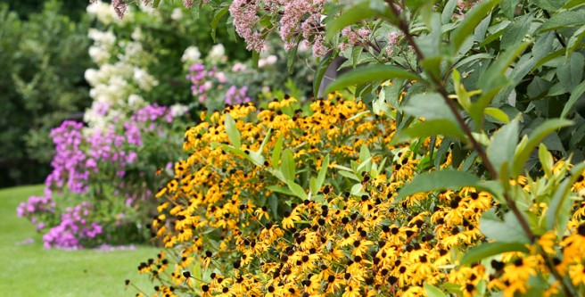 Increasing Focus on Wildlife Habitats