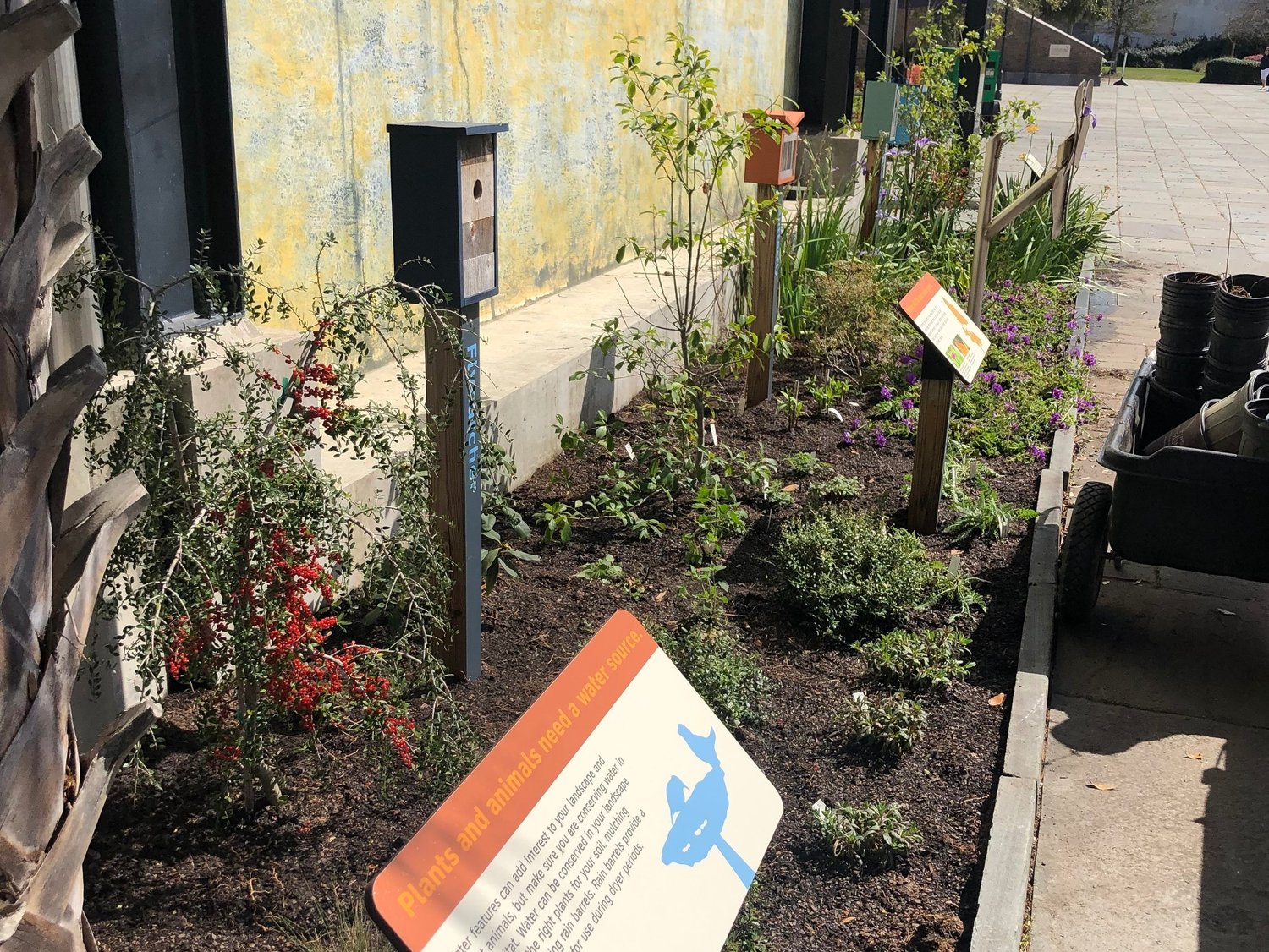 SC Aquarium Hosts Habitat Garden