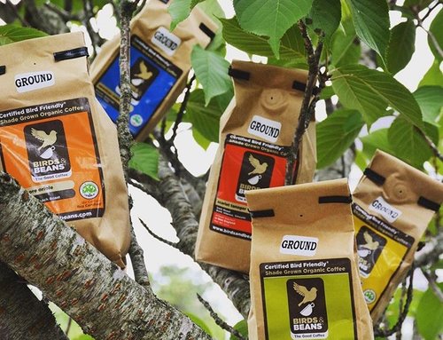 Join SCWF’s Coffee Club!
