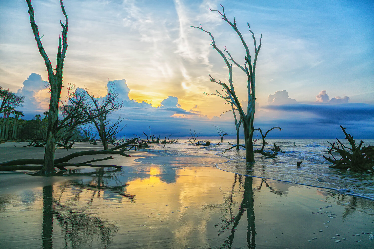 2019 Photo Contest Winners Announced