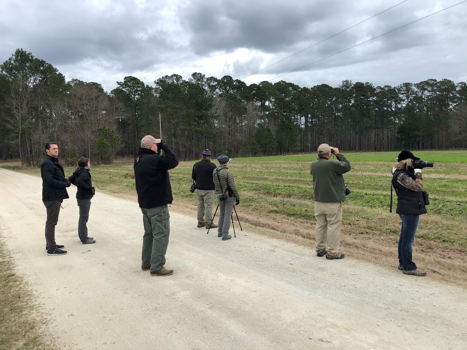 Pro Birder Recap: Over 100 Species Spotted!