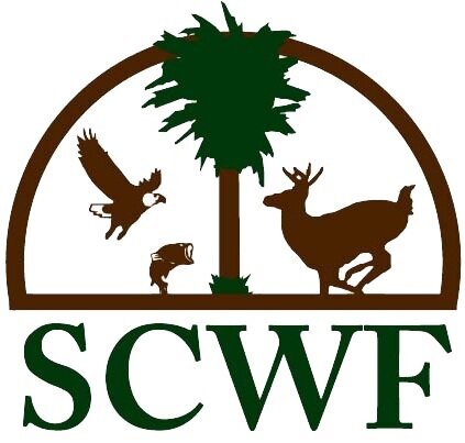 Senator Graham cosponsors Recovering America’s Wildlife Act