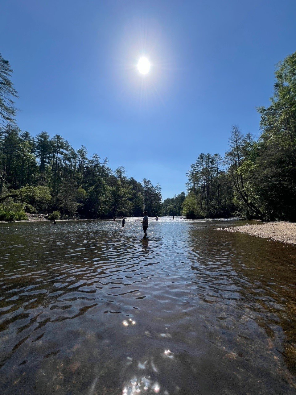 Camp Wildwood 2024: Seventy years of inspiring conservationists!
