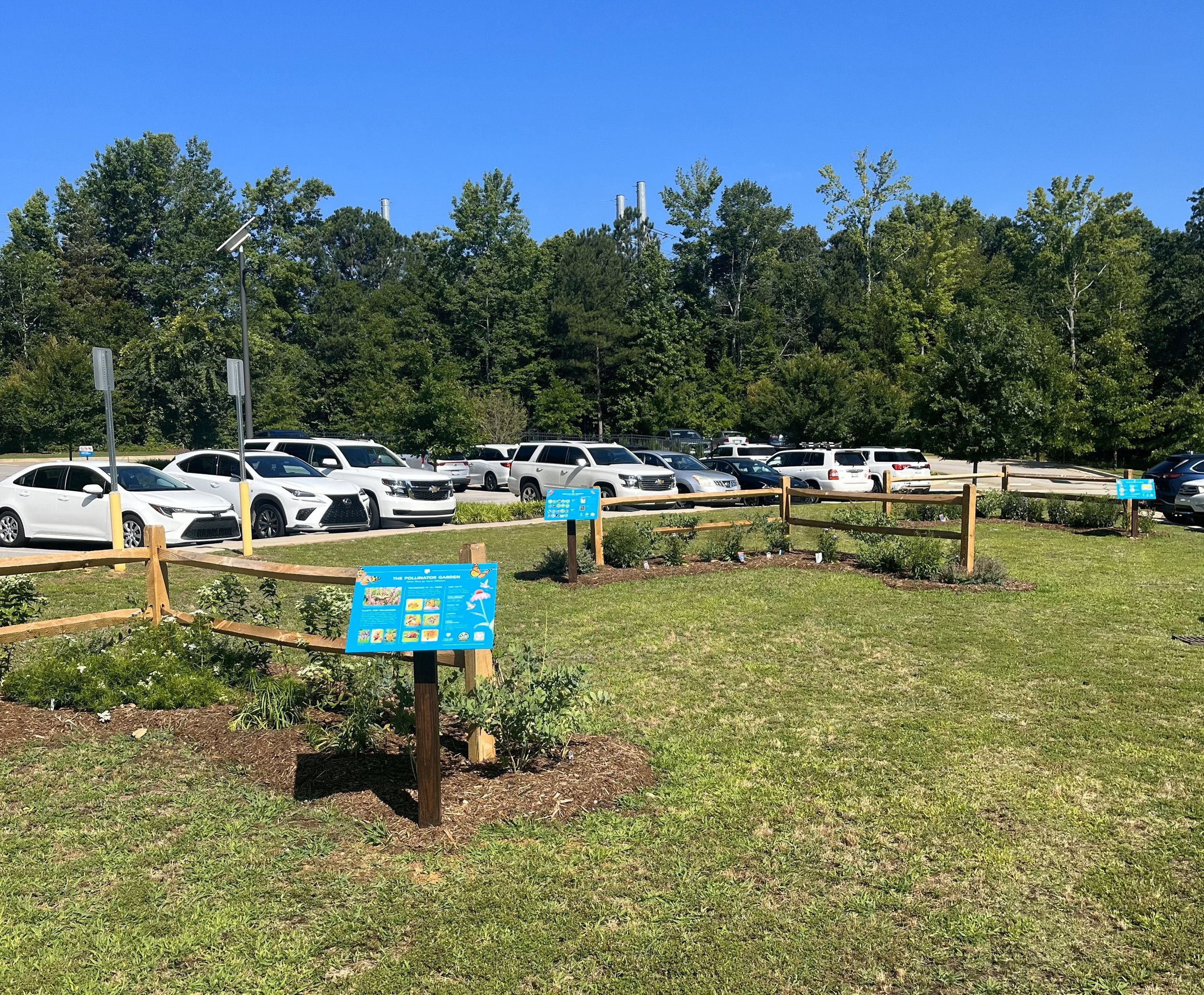 Native Pollinator Gardens Installed at Richland Library Ballentine