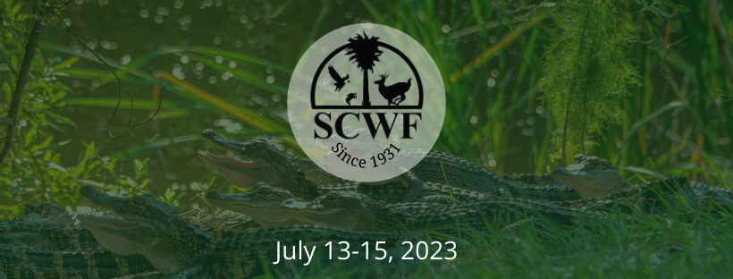 2023 Wild Summer Nights Online Auction