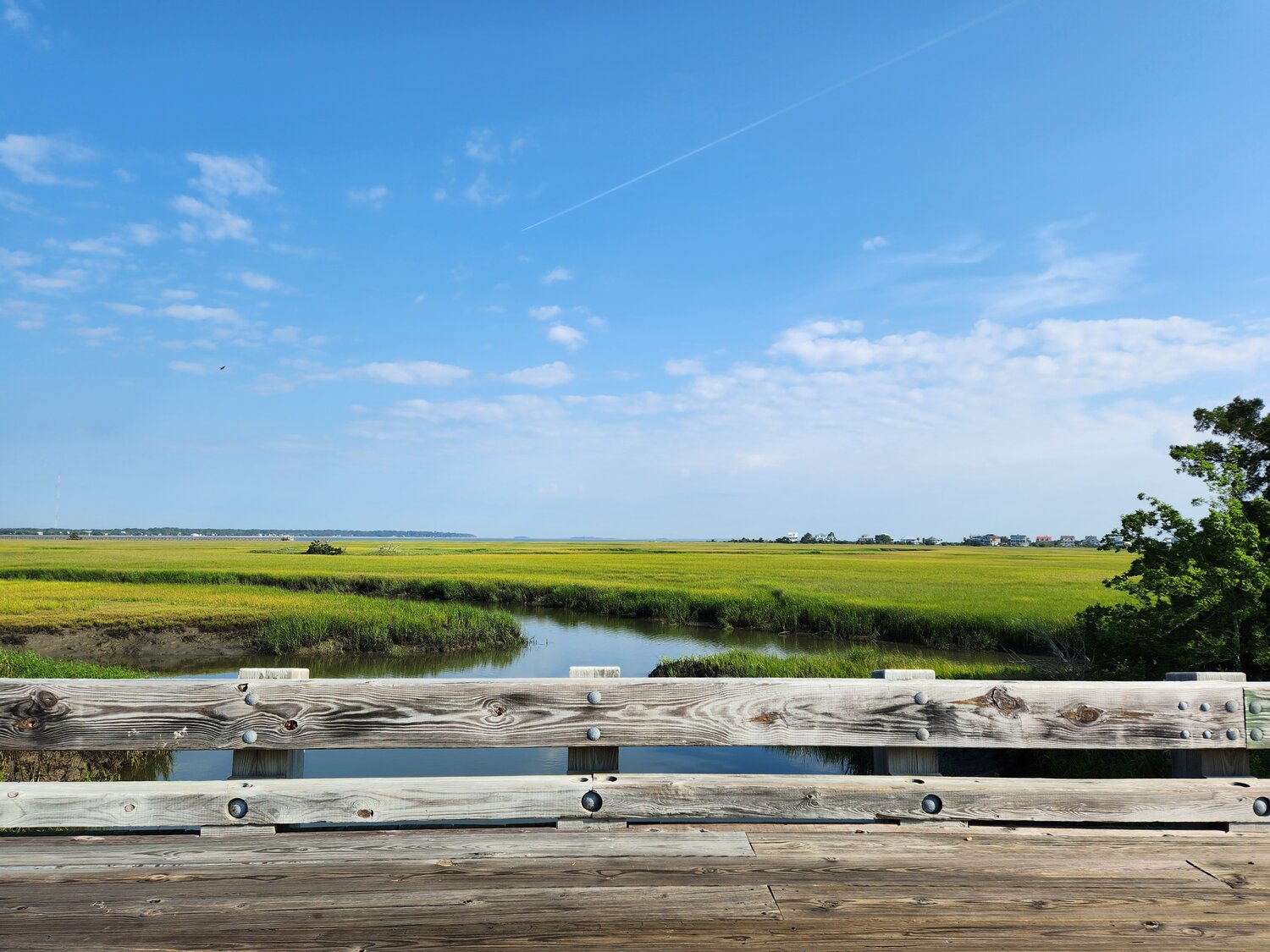 A Garden for Wildlife Month™ Story: Community Habitat Leader Spotlight