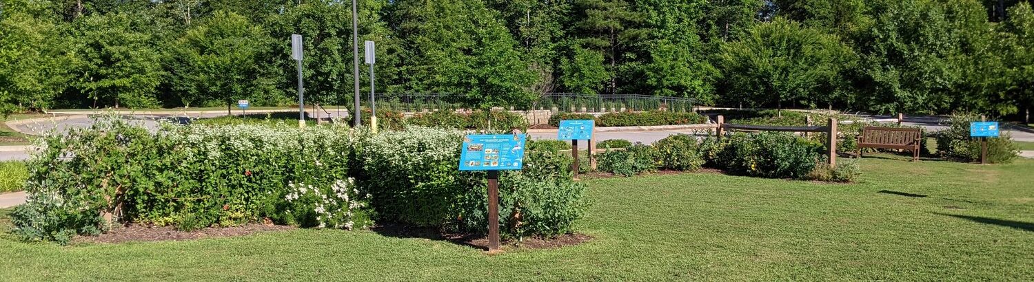 Richland Library of Ballentine Celebrates National Pollinator Week