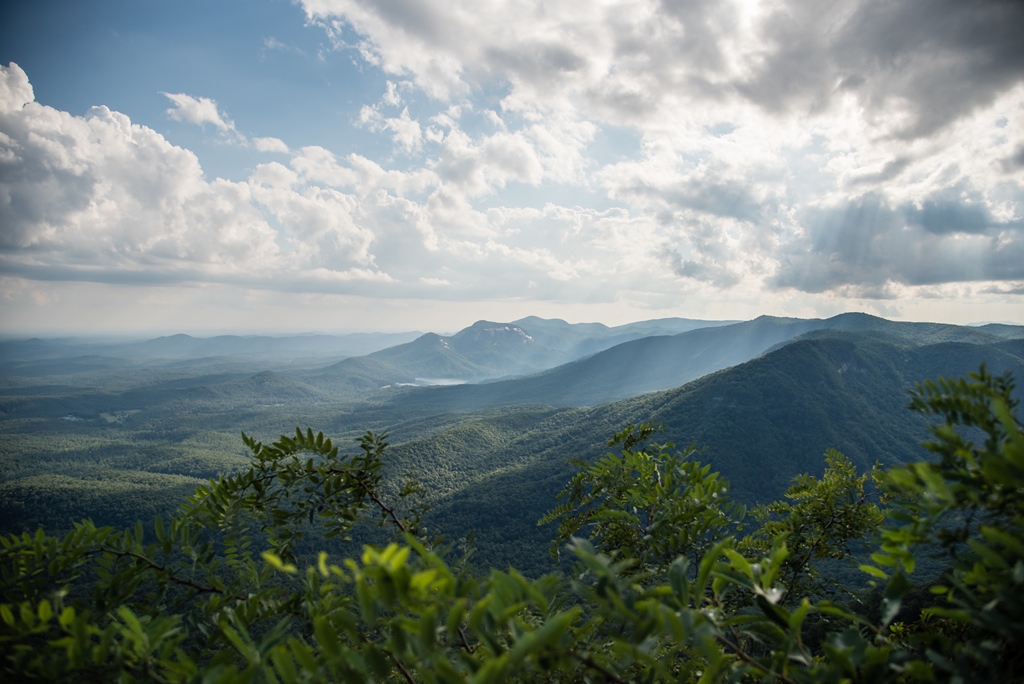 16th Annual Photo Contest Open