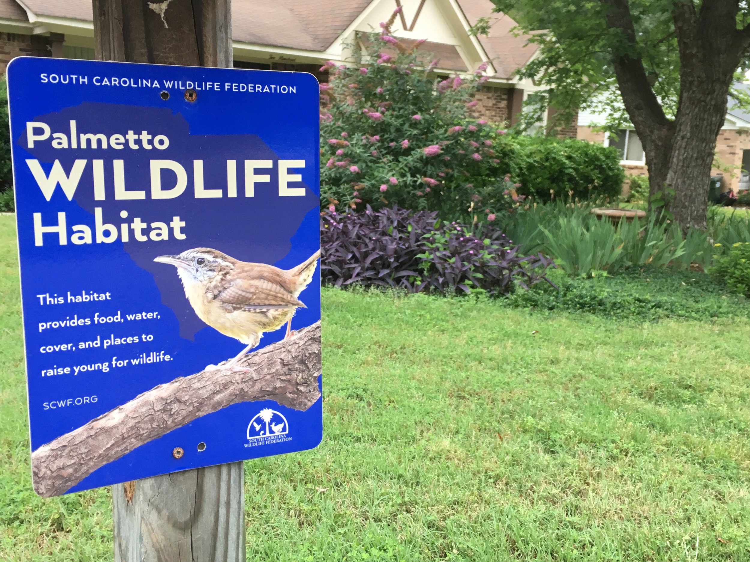 Create wildlife habitat at home