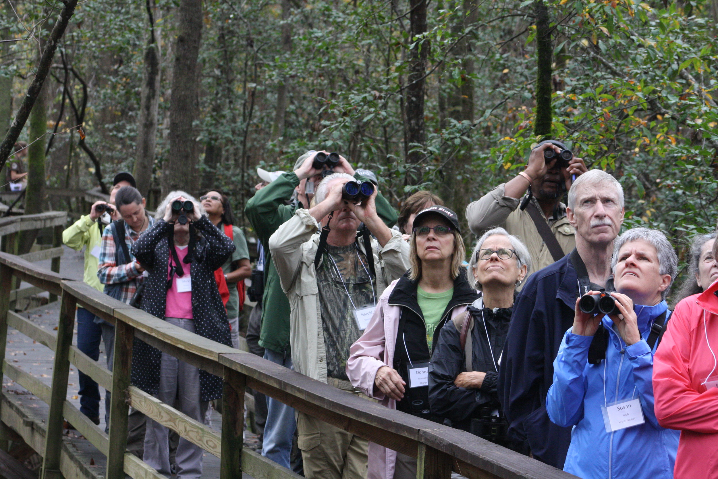 Pro Birders at Congaree