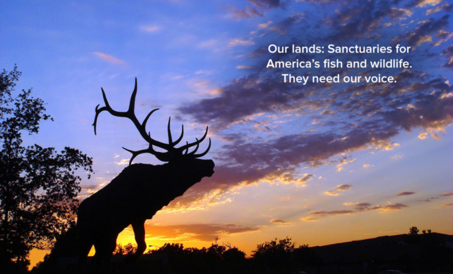 Update on Public Lands