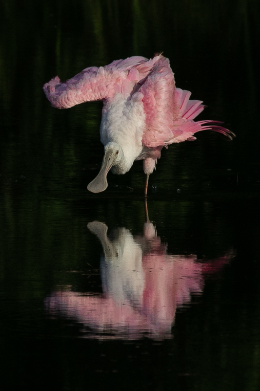 2018 Photo Contest Winners Announced