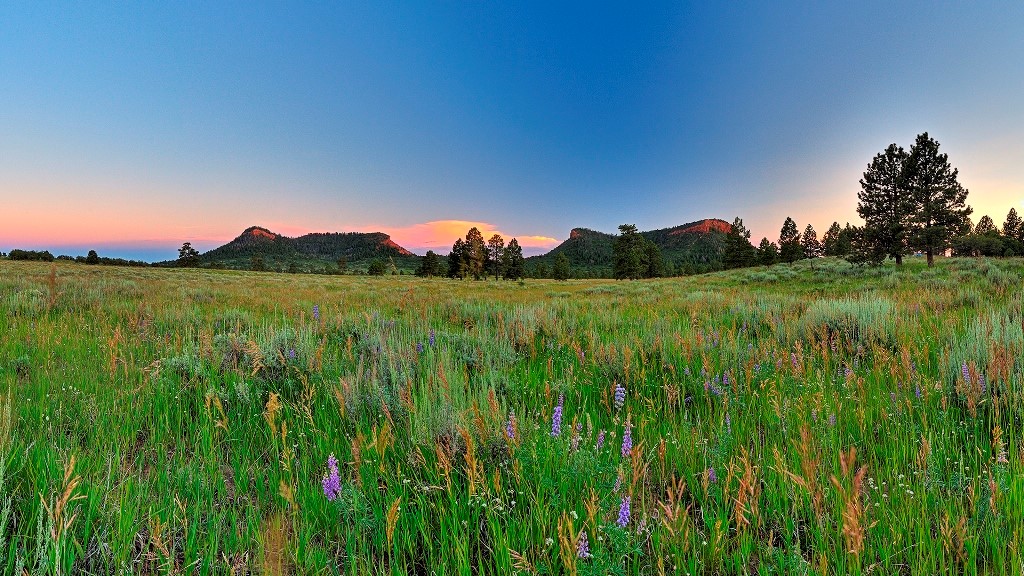 Show your support for Bears Ears National Monument
