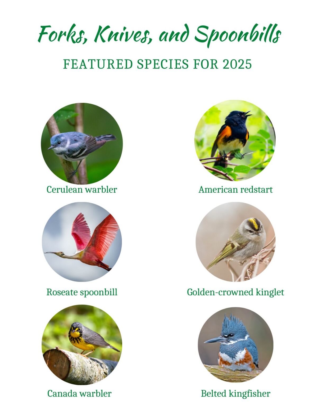 Forks, Knives, & Spoonbills Conservation Dinner at Topsoil Restaurant ...