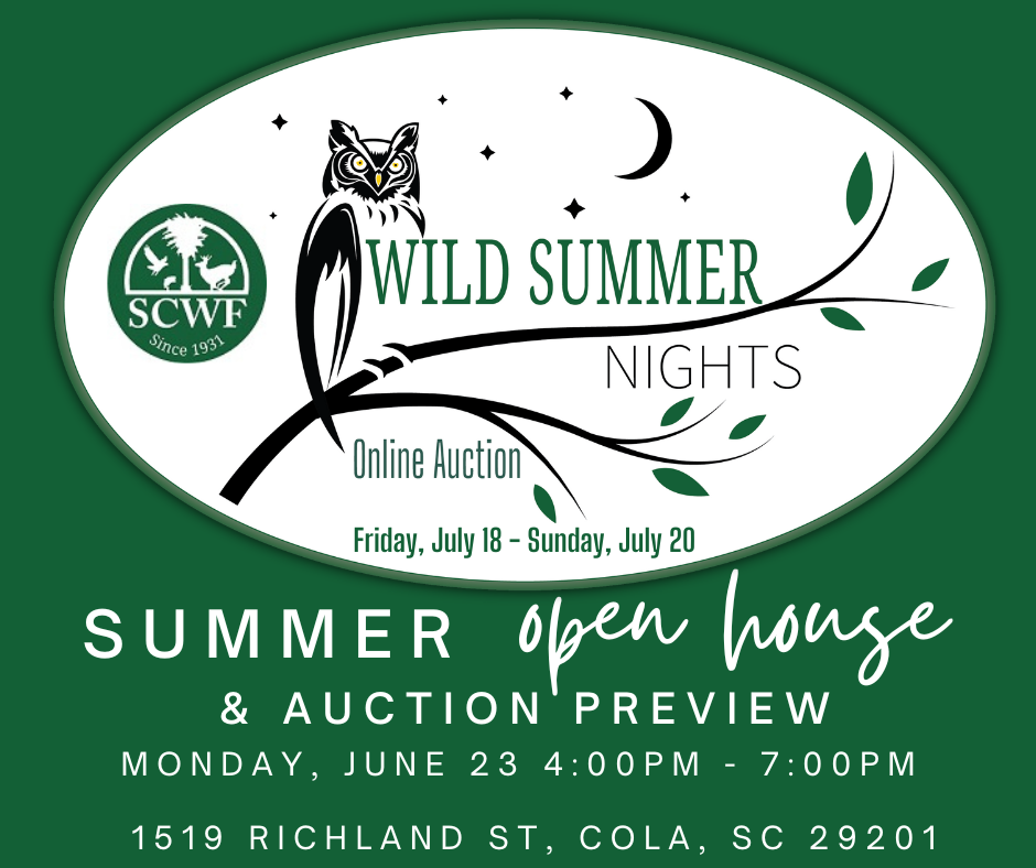 event-img