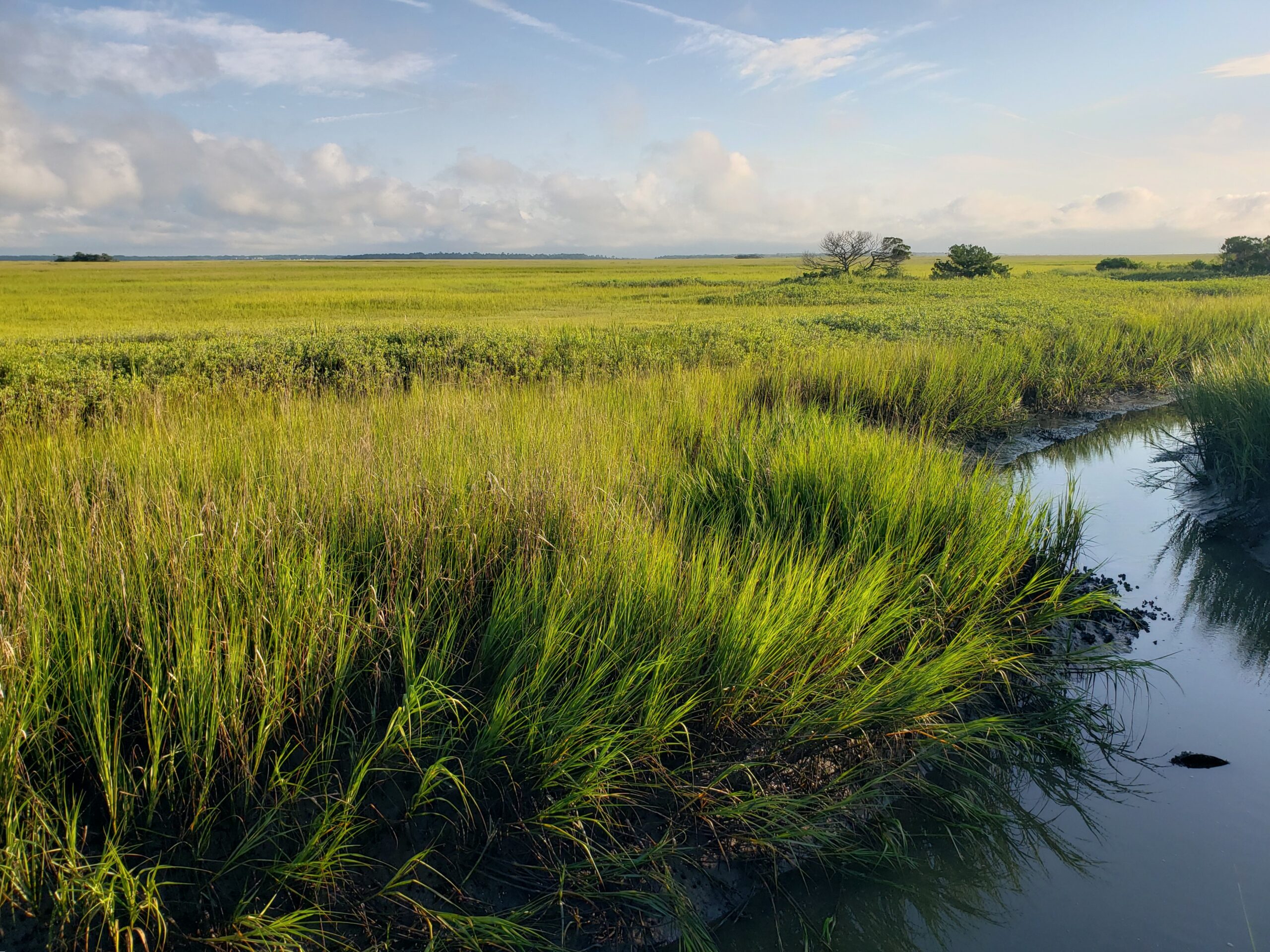 SCWF Invites You to Explore with Us!