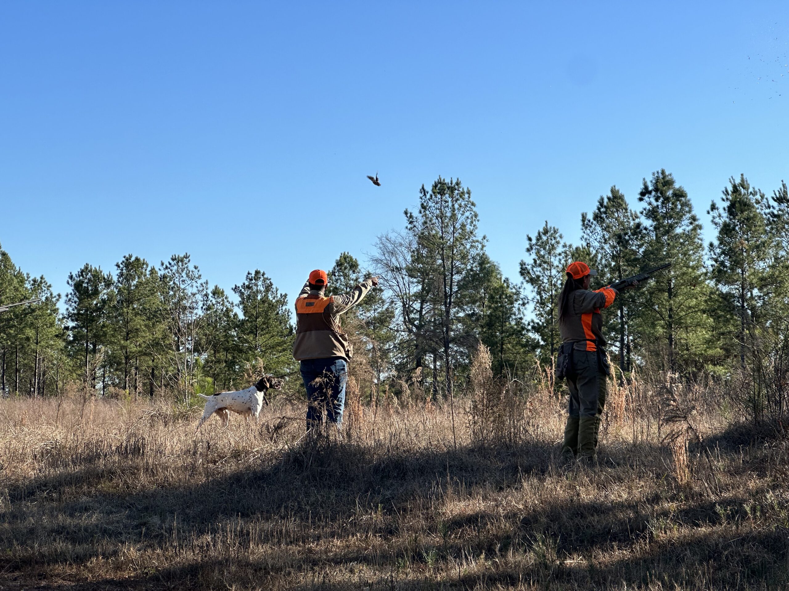 POWR+ Quail Hunt