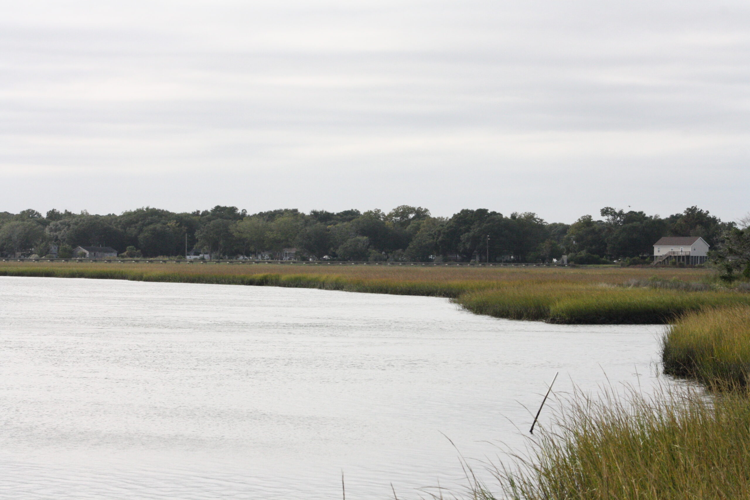 Shucking Oysters for Conservation: A Celebration of Community and Wildlife