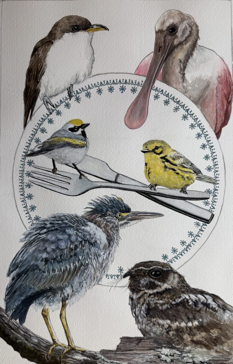 Forks, Knives, & Spoonbills Conservation Dinner at The Hollow in Columbia