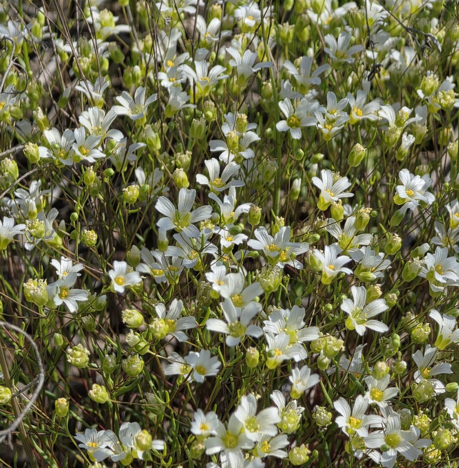 2025 – 2026 Scholarship Recipients