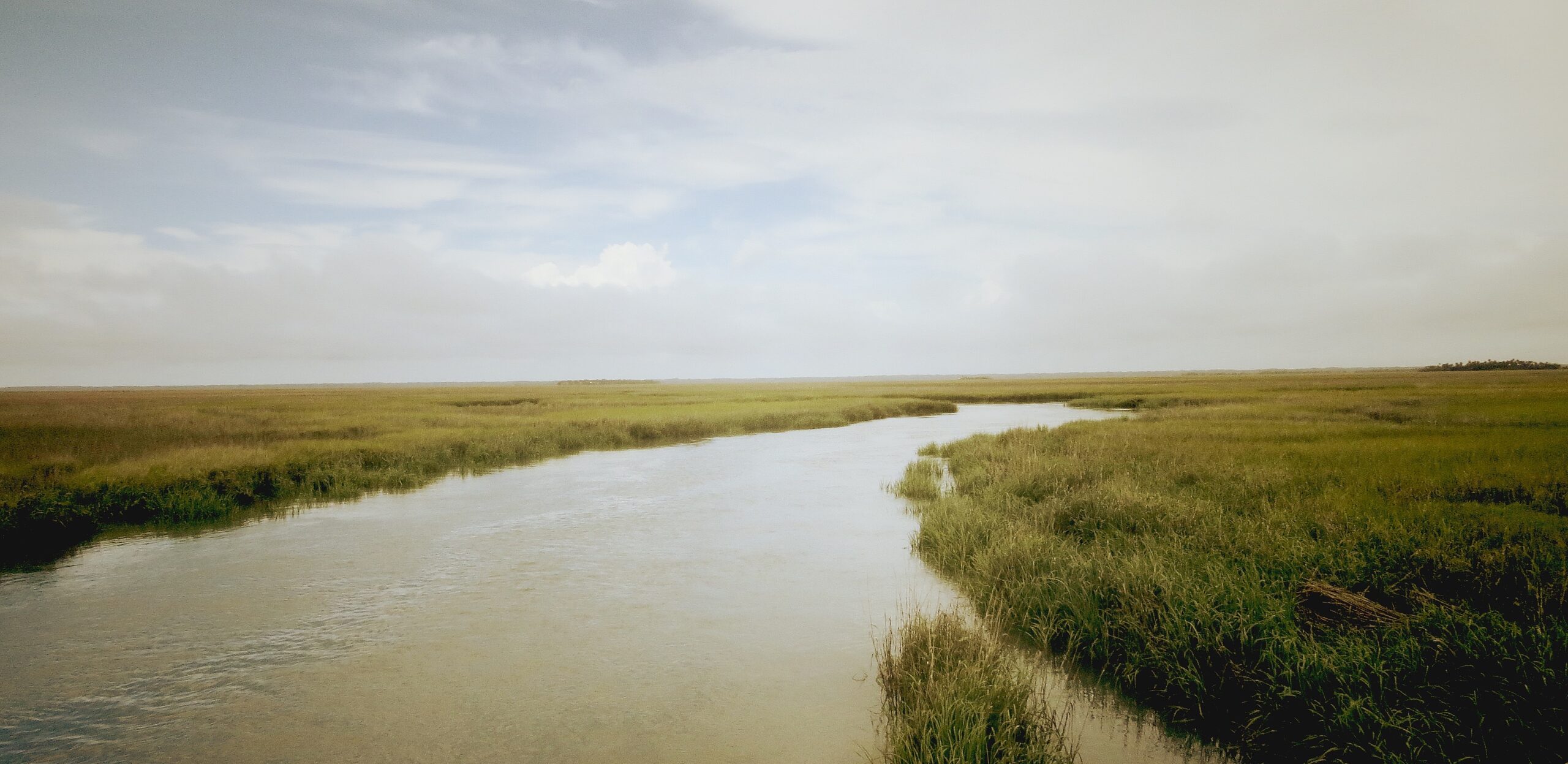 Much of Charleston’s Drinking Water Comes From Streams Now at Risk – New Research