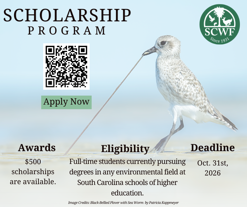SCWF Scholarships