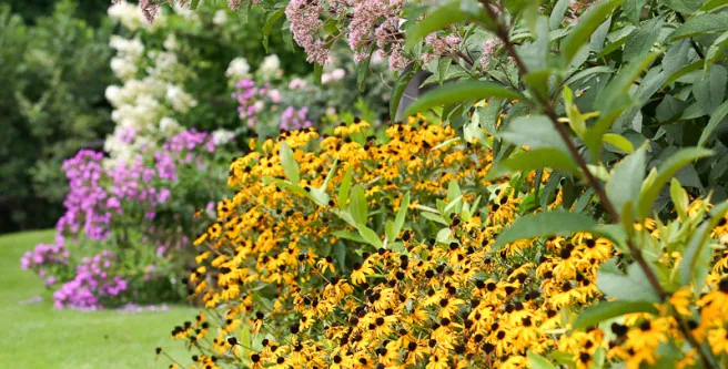 Increasing Focus on Wildlife Habitats