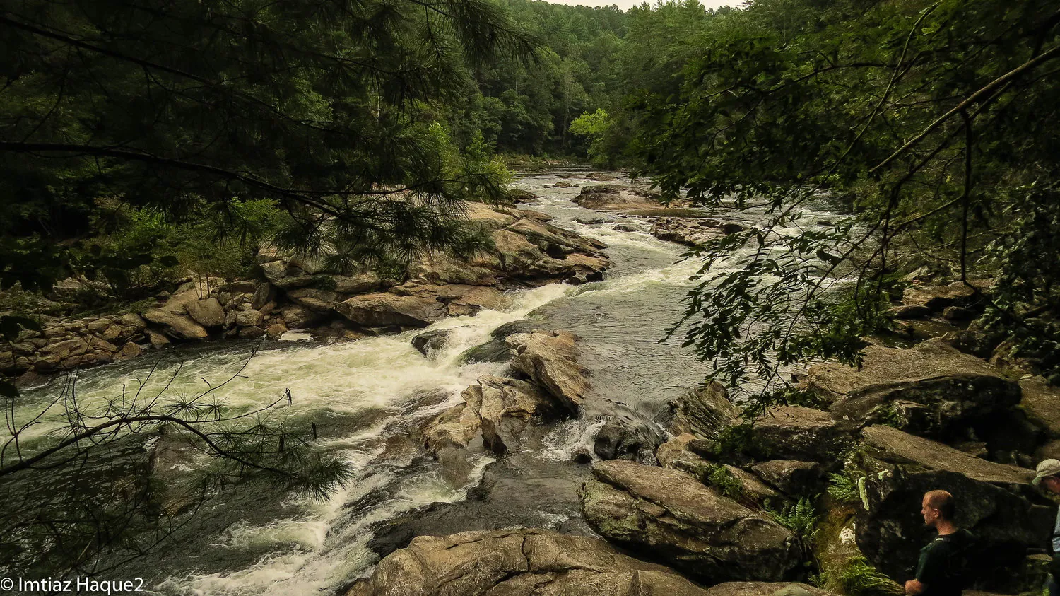Green: LWCF funding makes economic sense