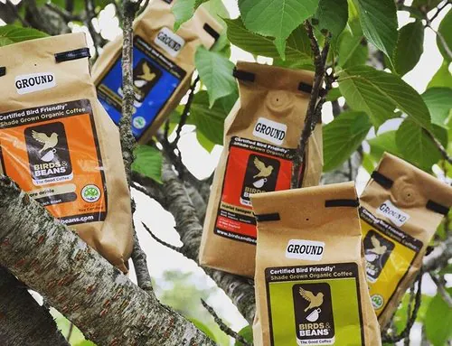 Join SCWF’s Coffee Club!