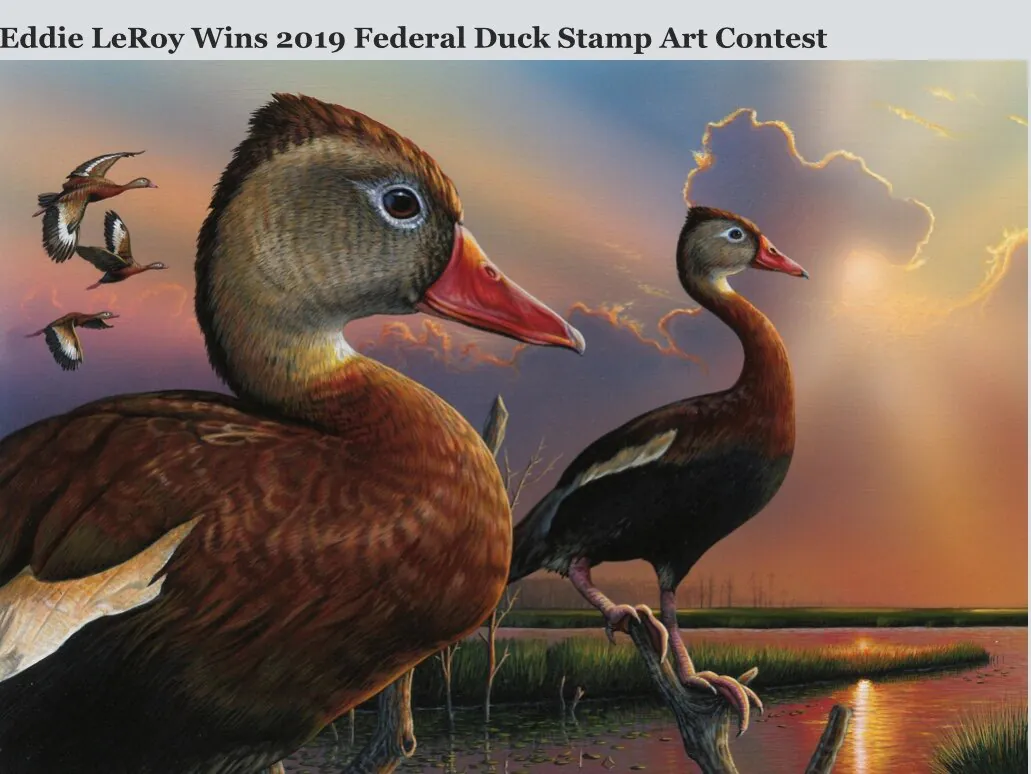 Help protect wildlife by purchasing a Federal Duck Stamp!