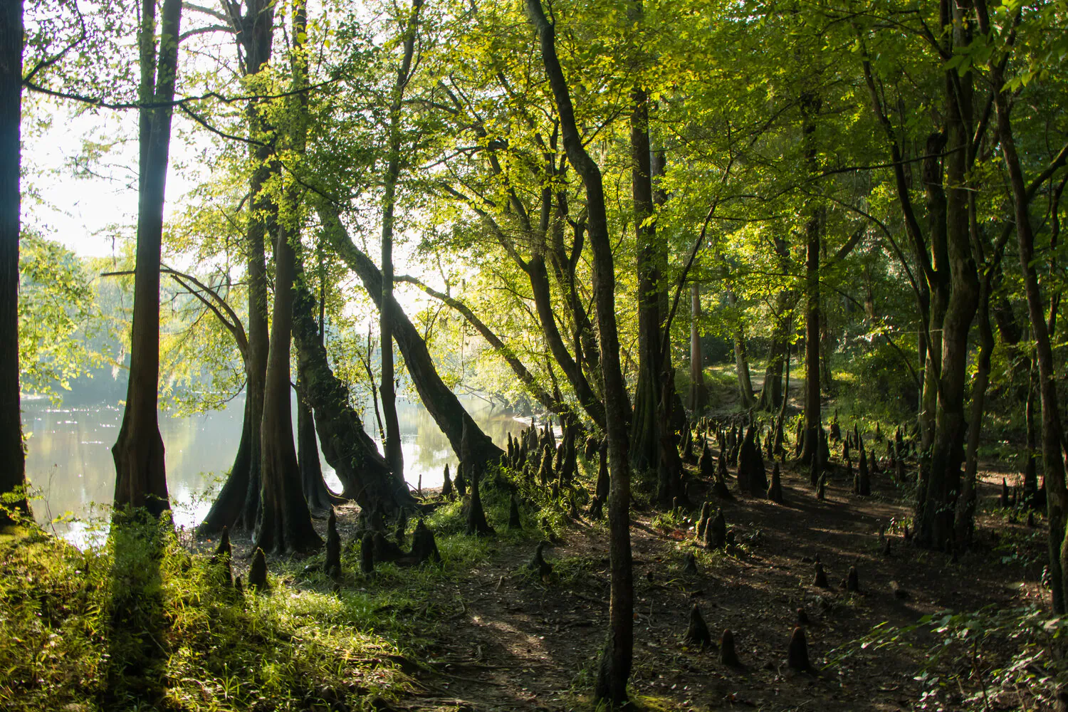 Great American Outdoors Act Passes!