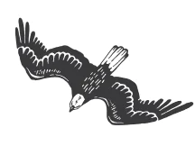 Icon_Land_4-3