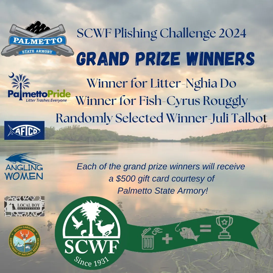 2024 Plishing Challenge Winners Announced