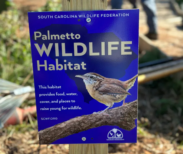 palmetto-book