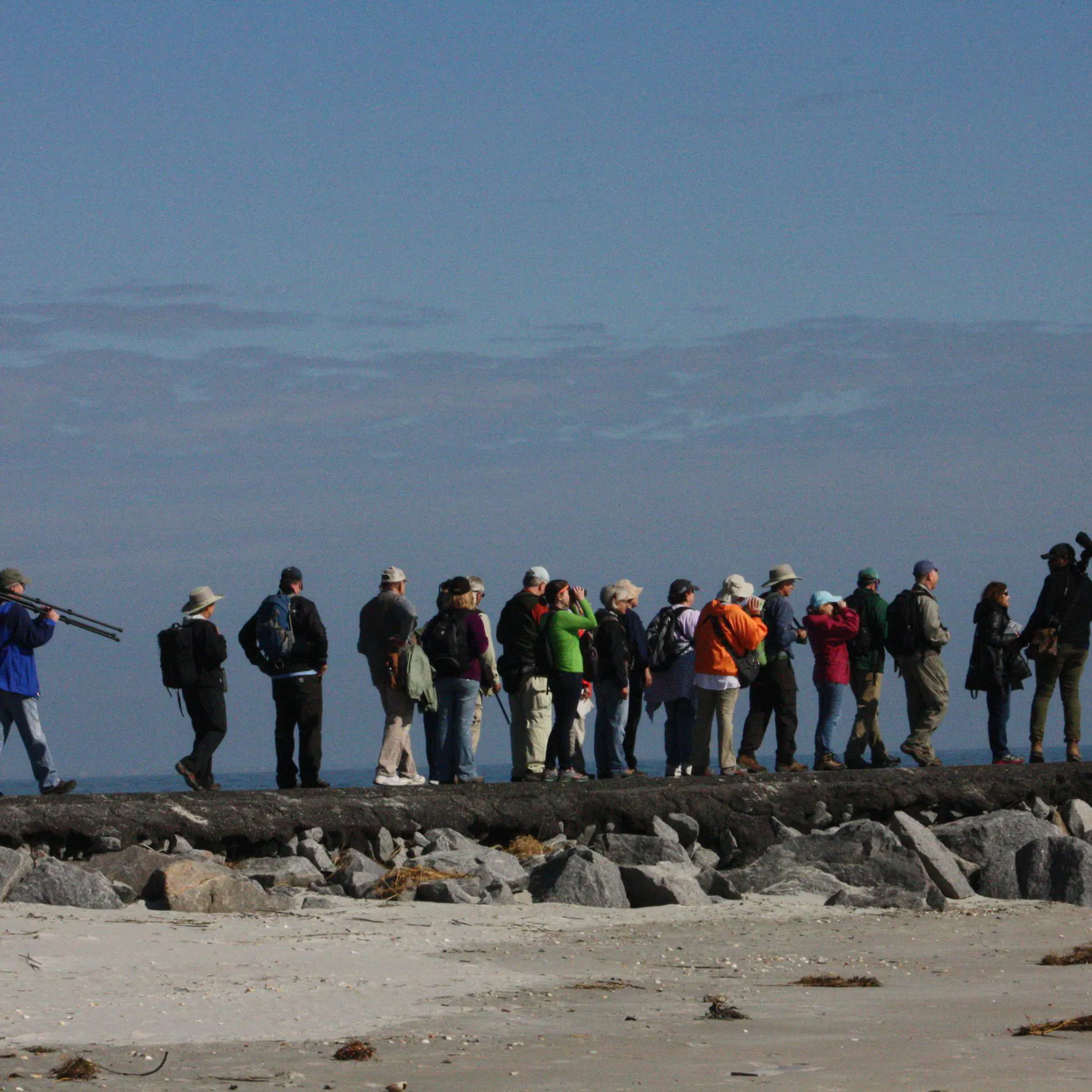 Palmetto Pro Birders: Huntington Beach State Park