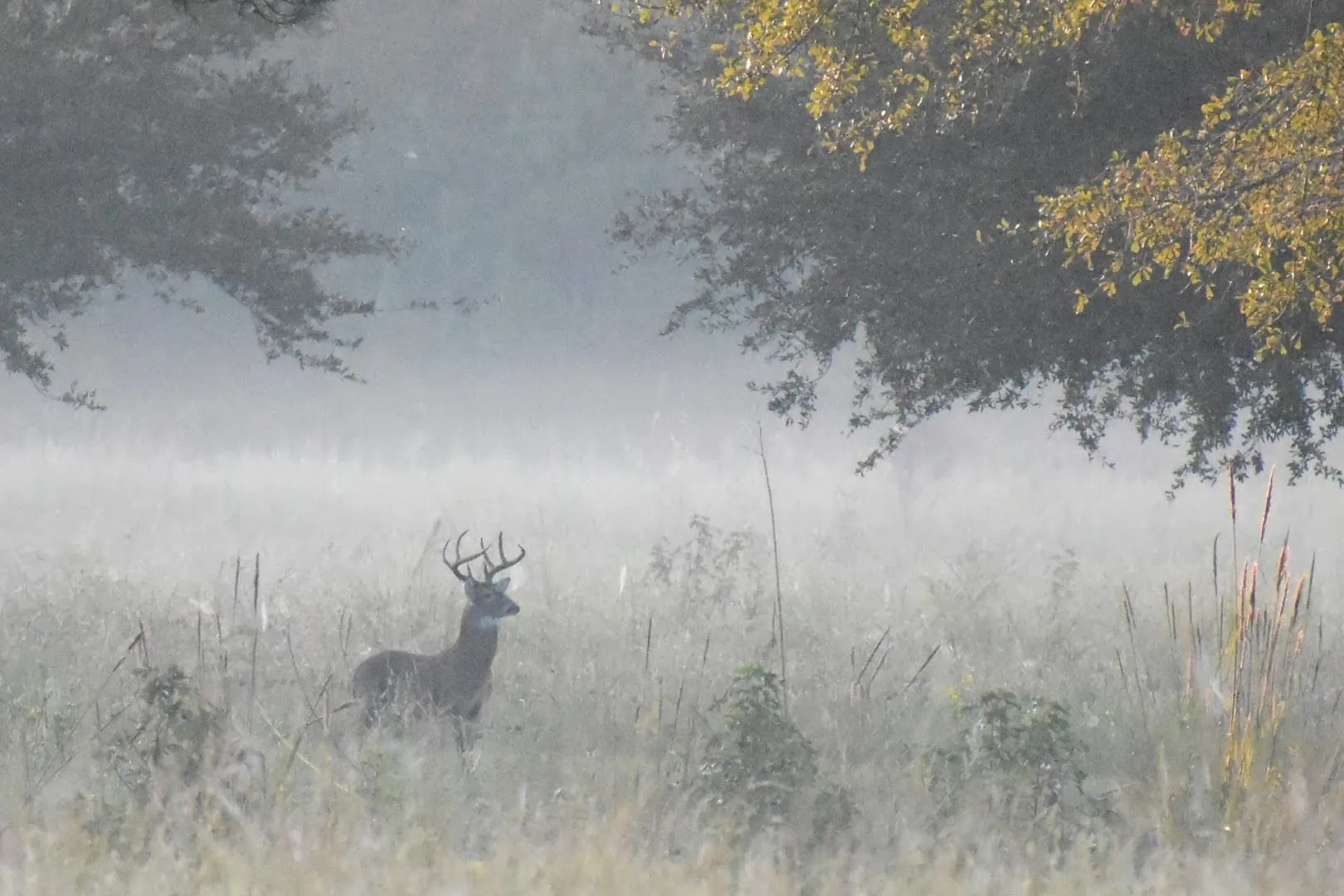 Don’t Buy into The October Lull by Alex Killman