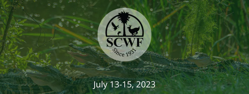 2023 Wild Summer Nights Online Auction