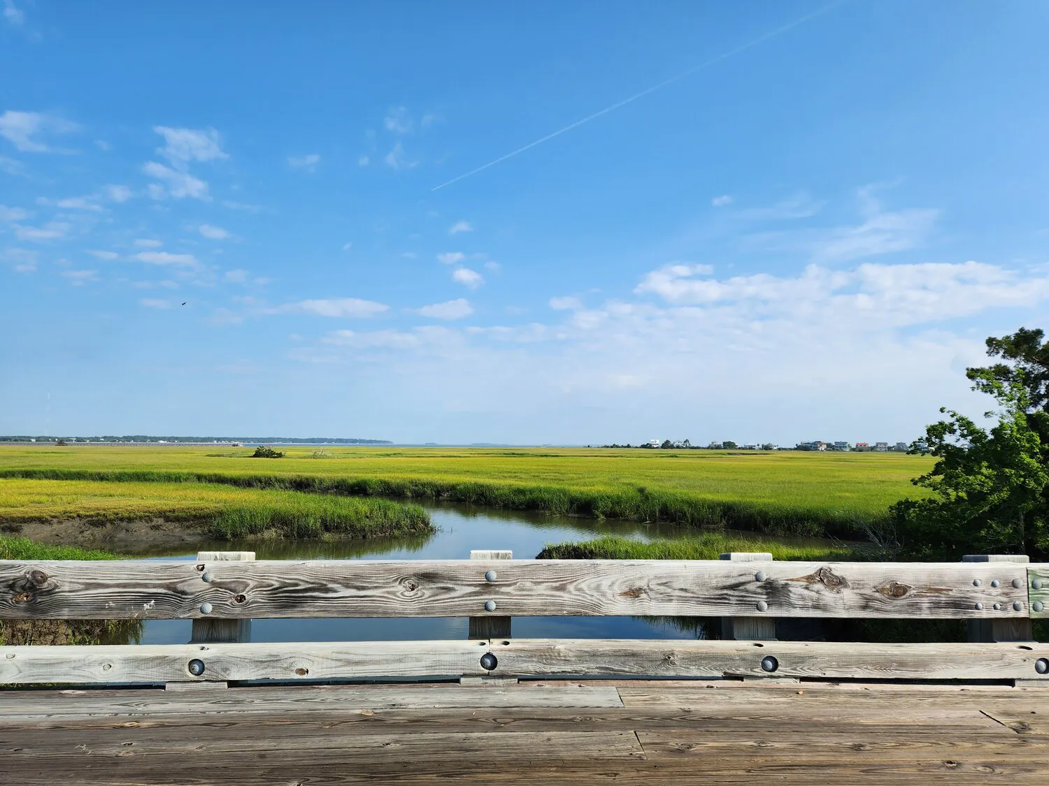 A Garden for Wildlife Month™ Story: Community Habitat Leader Spotlight