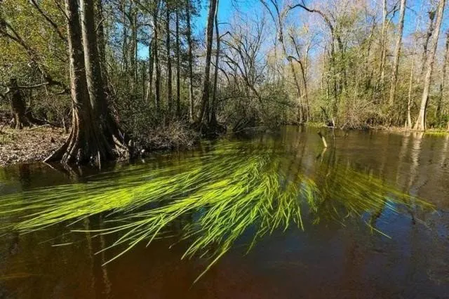 FRETWELL: Megafarms could suck rivers dry because state agency isn’t following law, groups charge