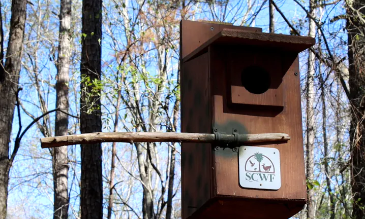 nesting-box-installation-01