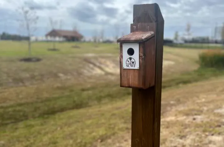 nesting-box-installation-03