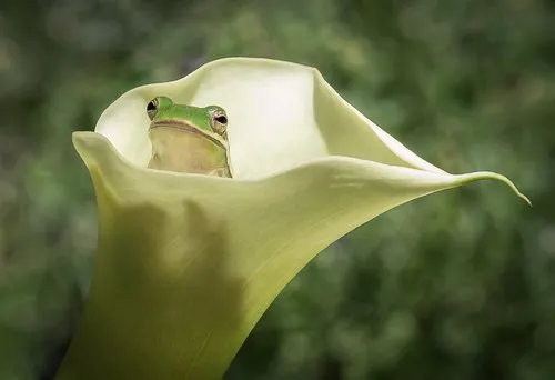 2017 Photo Contest Winners