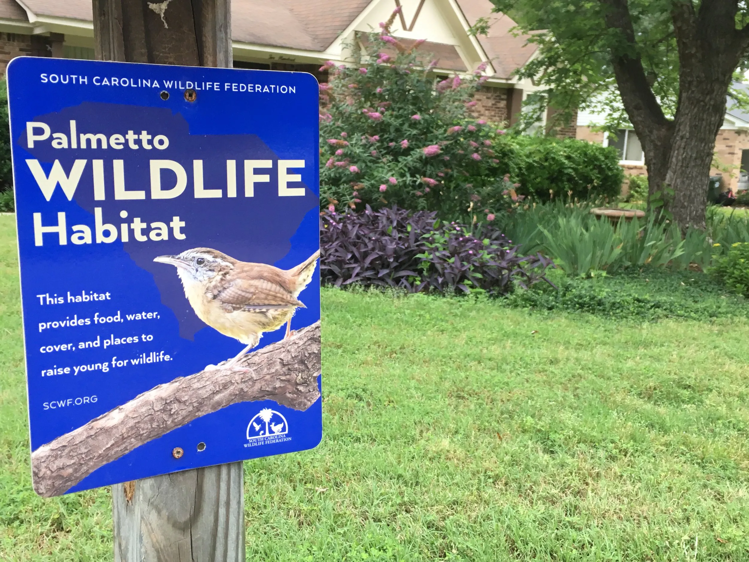 Create wildlife habitat at home
