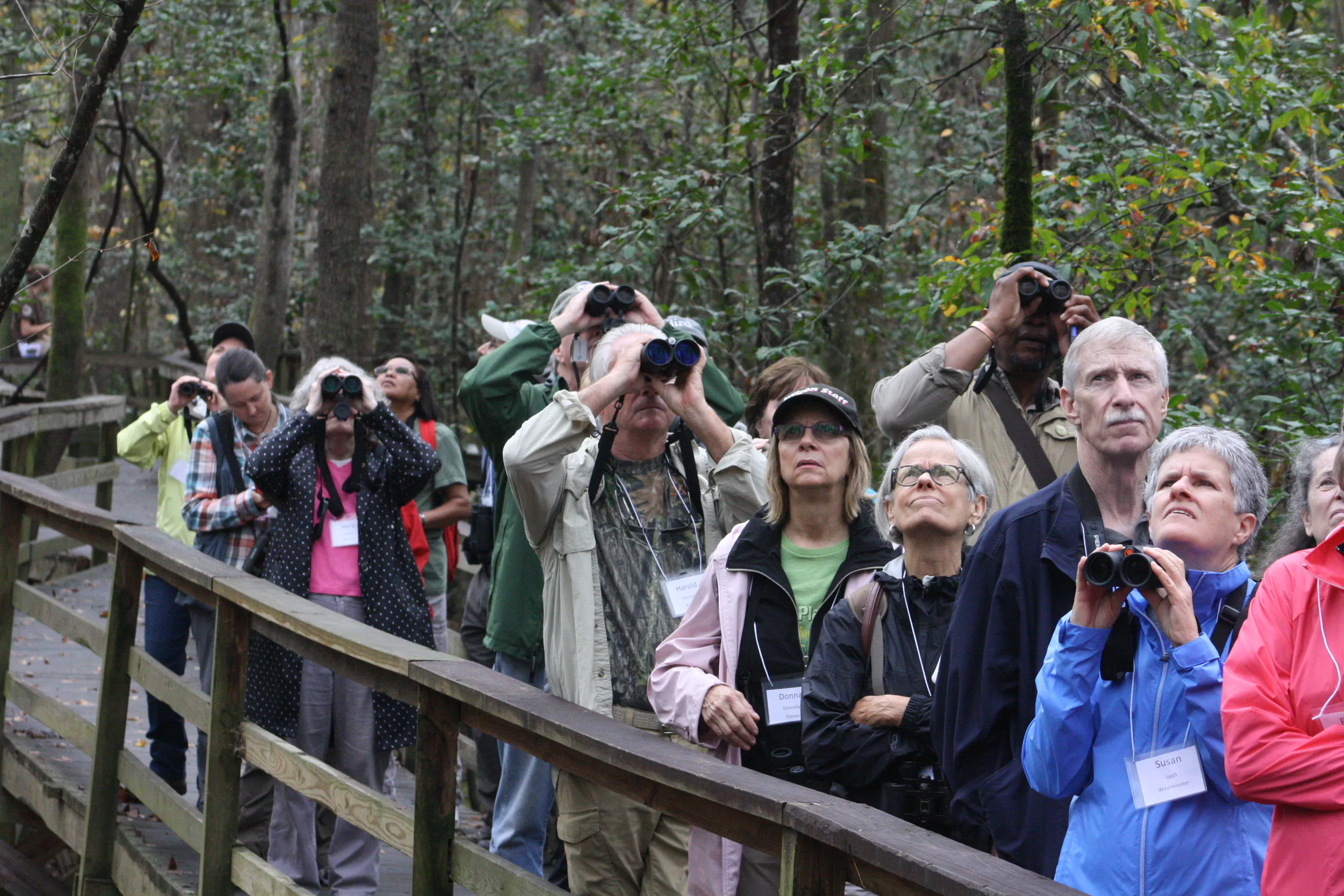 Pro Birders at Congaree