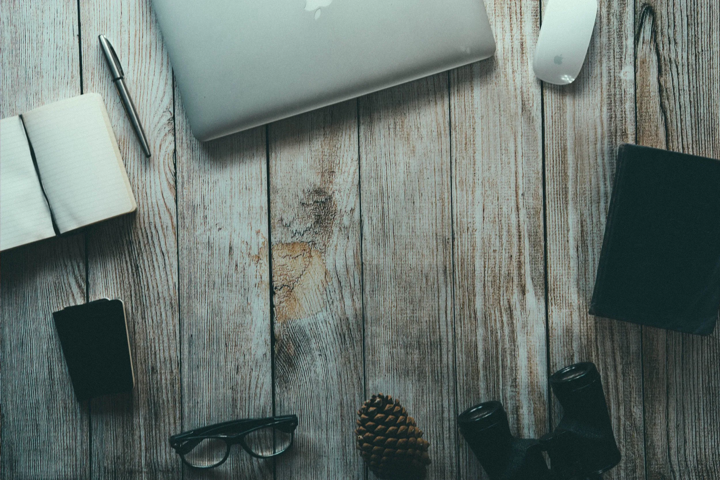 SCWF seeks a Development and Events Intern