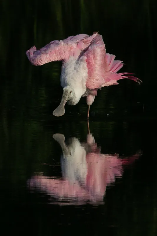 2018 Photo Contest Winners Announced