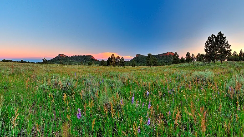 Show your support for Bears Ears National Monument