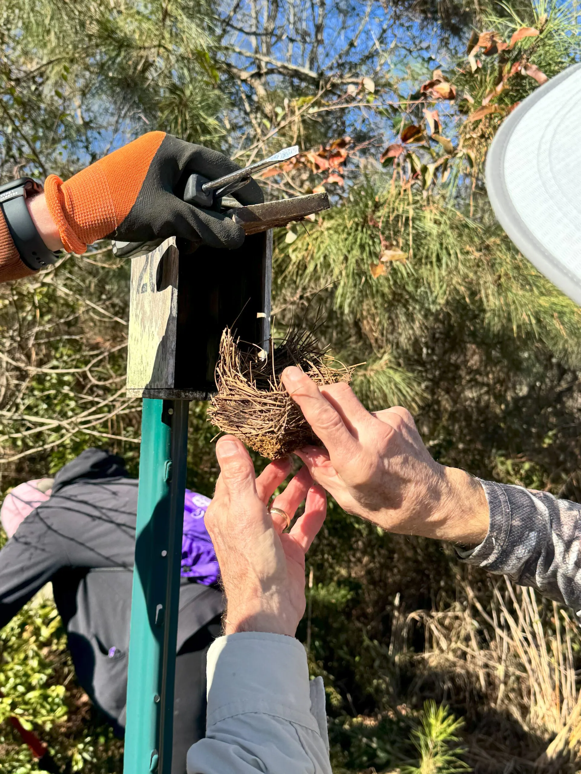 Volunteer Day at Camp Discovery