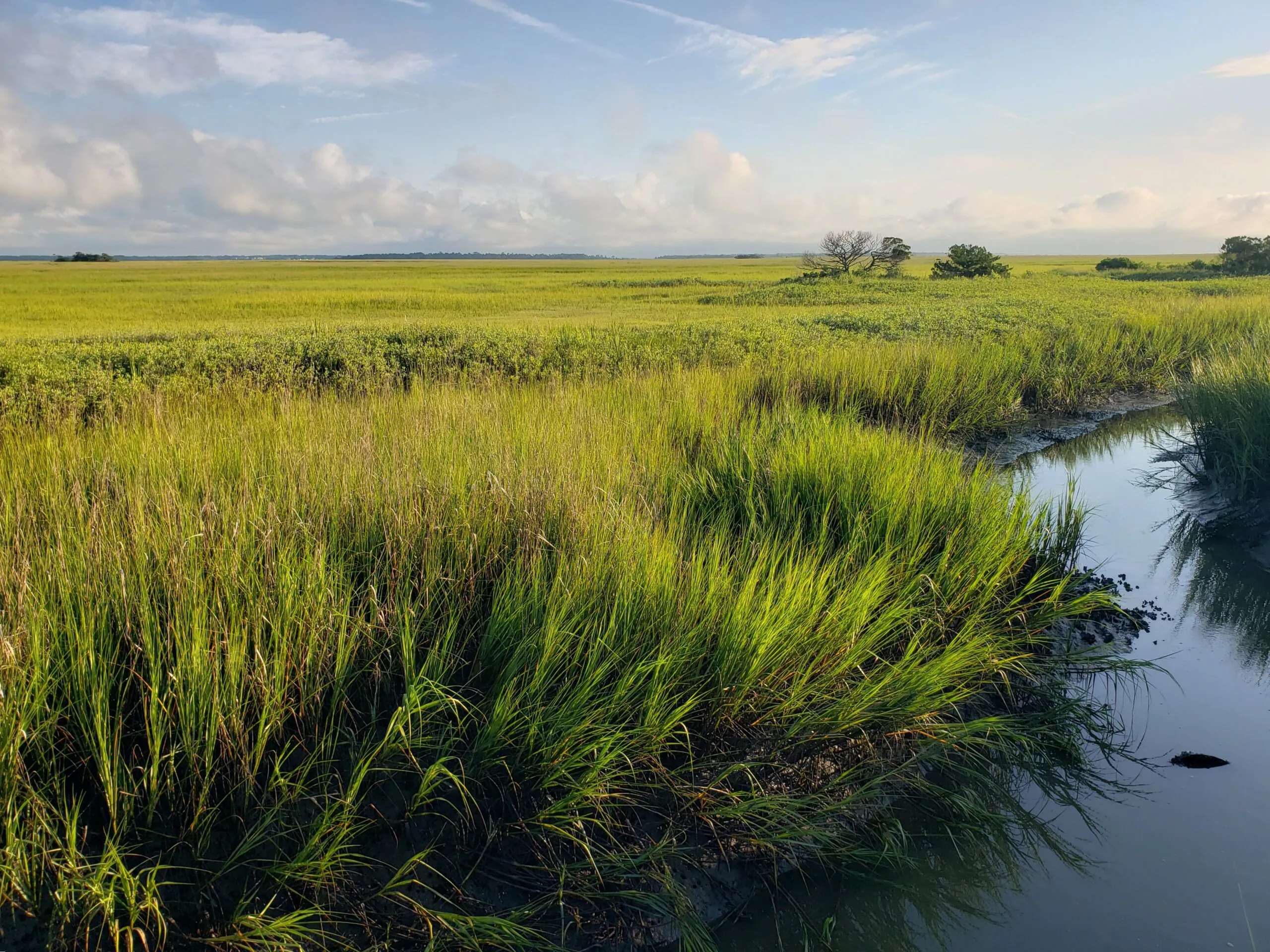 SCWF Invites You to Explore with Us!